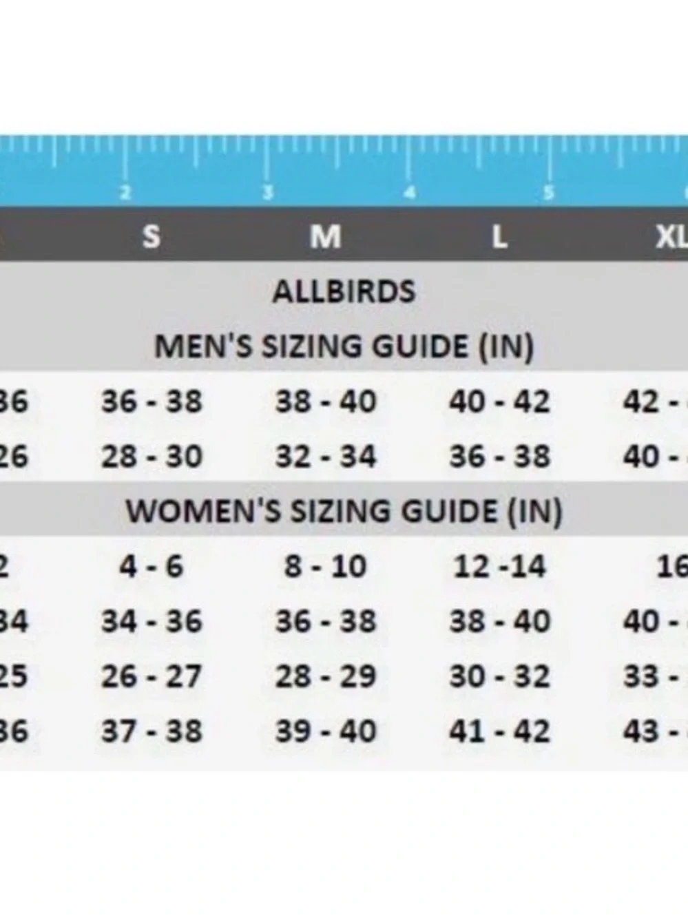 allbirds men wool